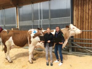 Tierbeurteilungsbewerb Bruck-22 Kühe+Schülerinnen