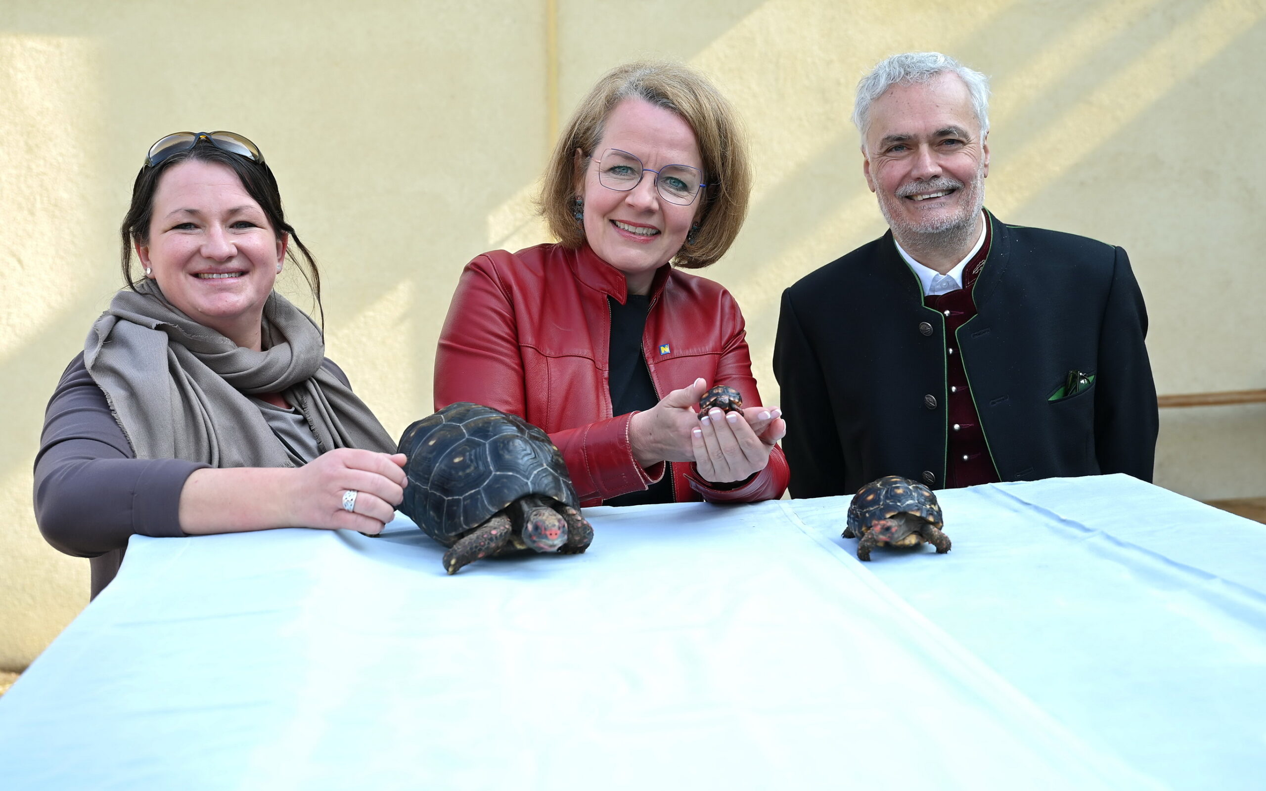 Nachzucht von seltenen Landschildkröten an Fachschule Hollabrunn gelungen