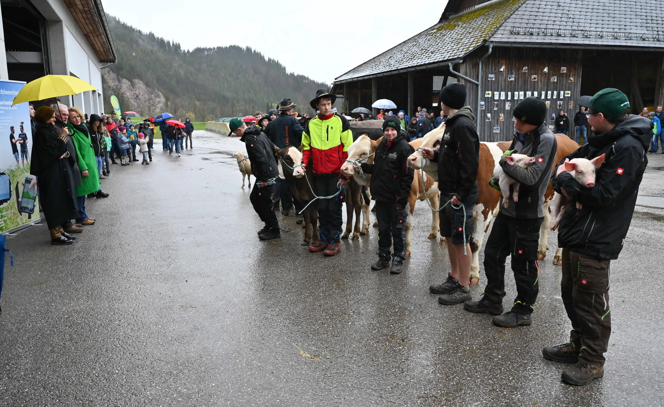 Tierschau1 Copyright Mück