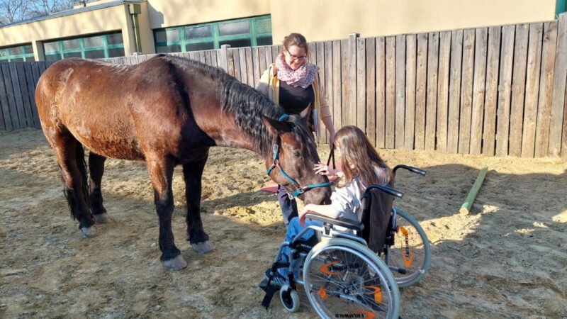 Pferd+Rollstuhl