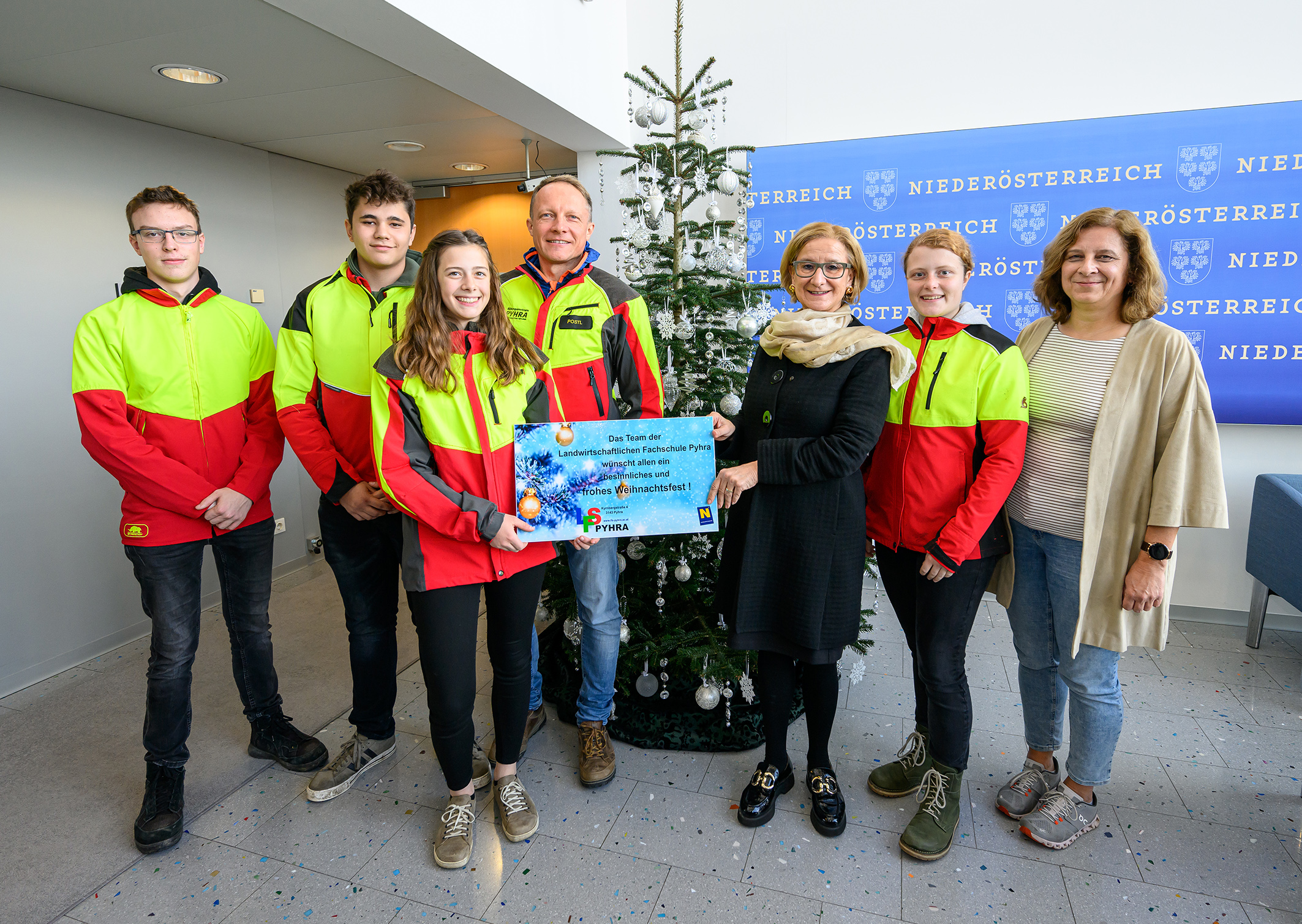 Christbäume der Fachschule Pyhra für das Landhaus in St. Pölten