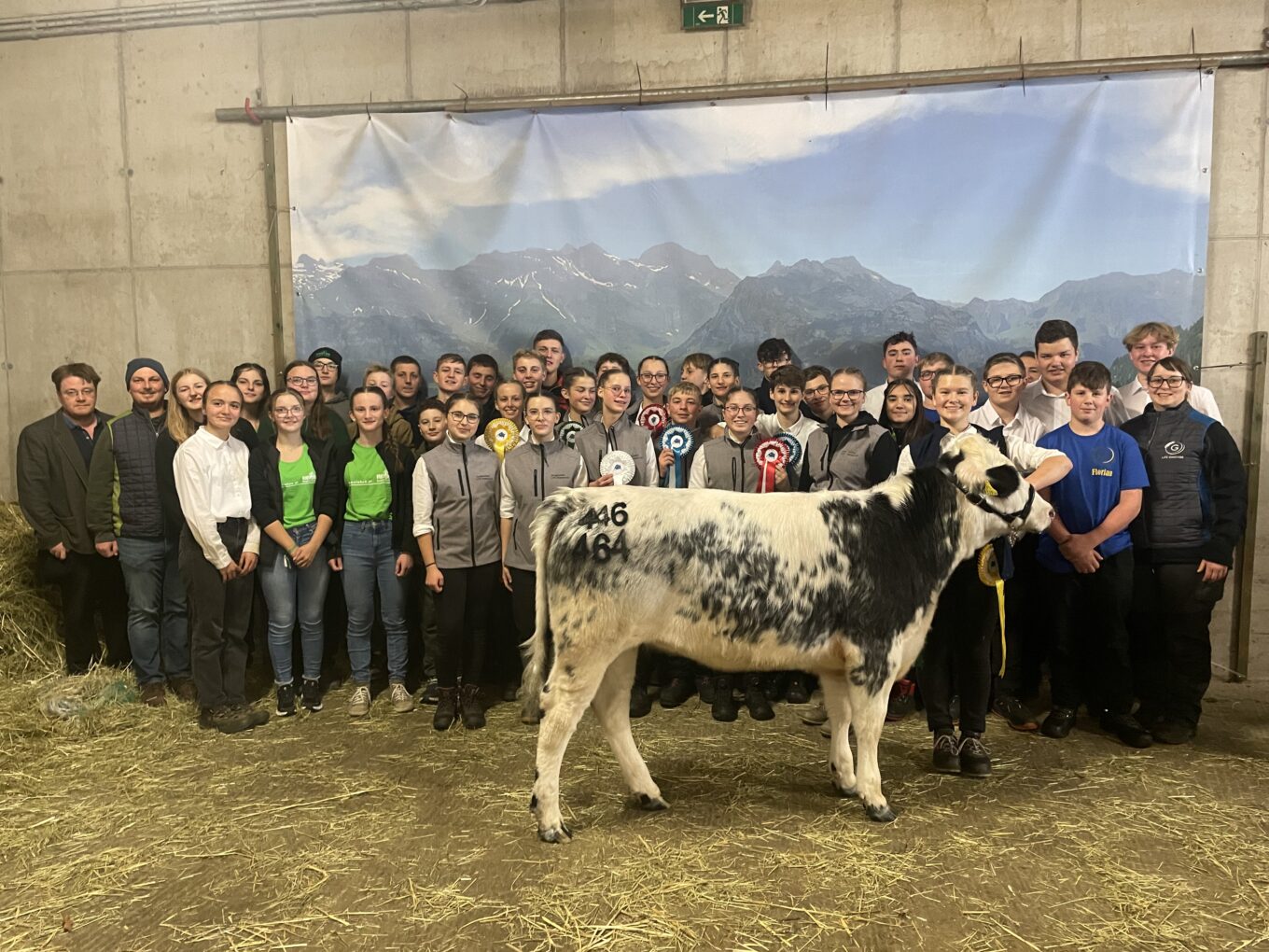 Jungzüchter-Championat und Jubiläumsrinderschau
