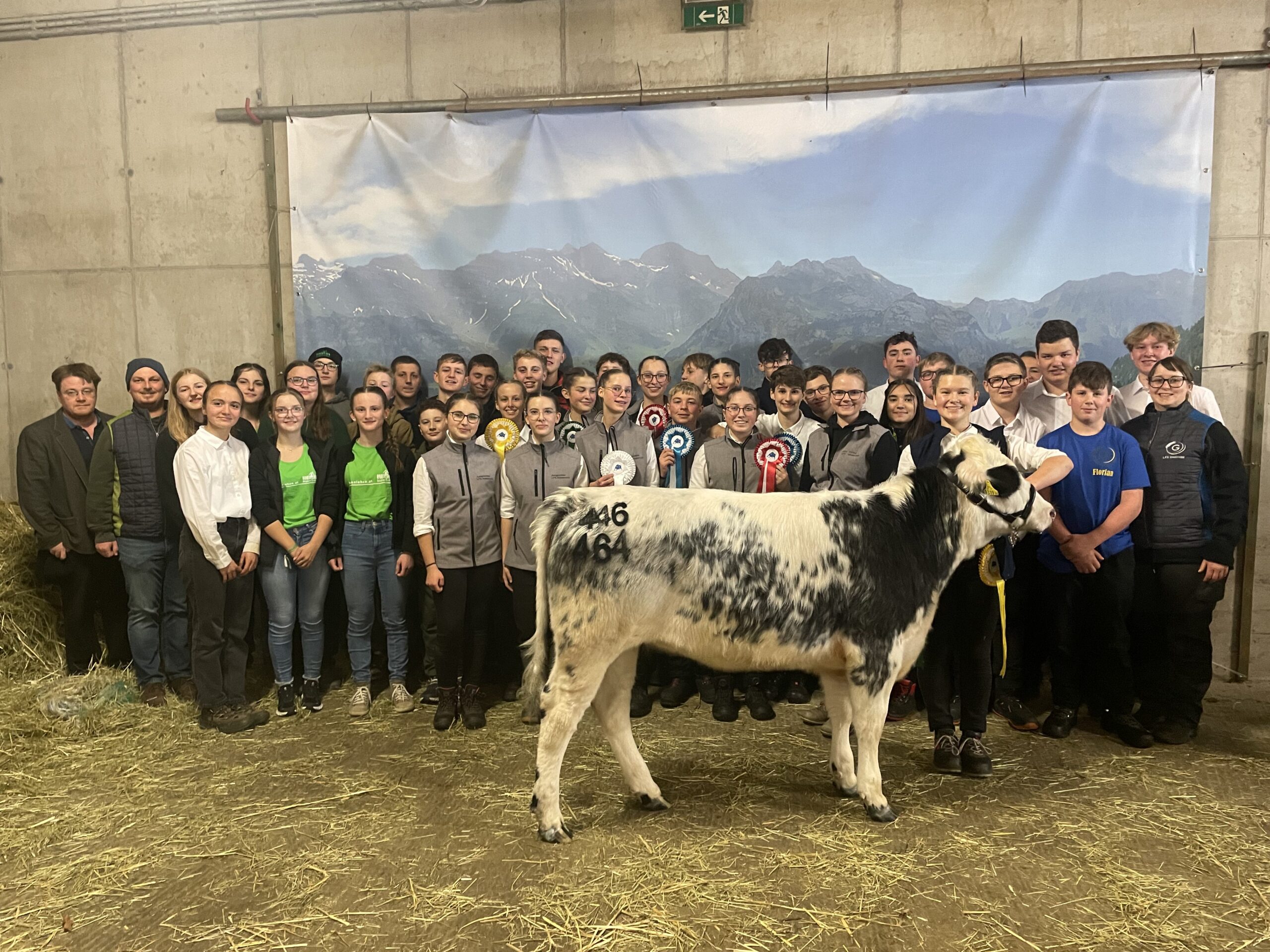 Jungzüchter-Championat und Jubiläumsrinderschau