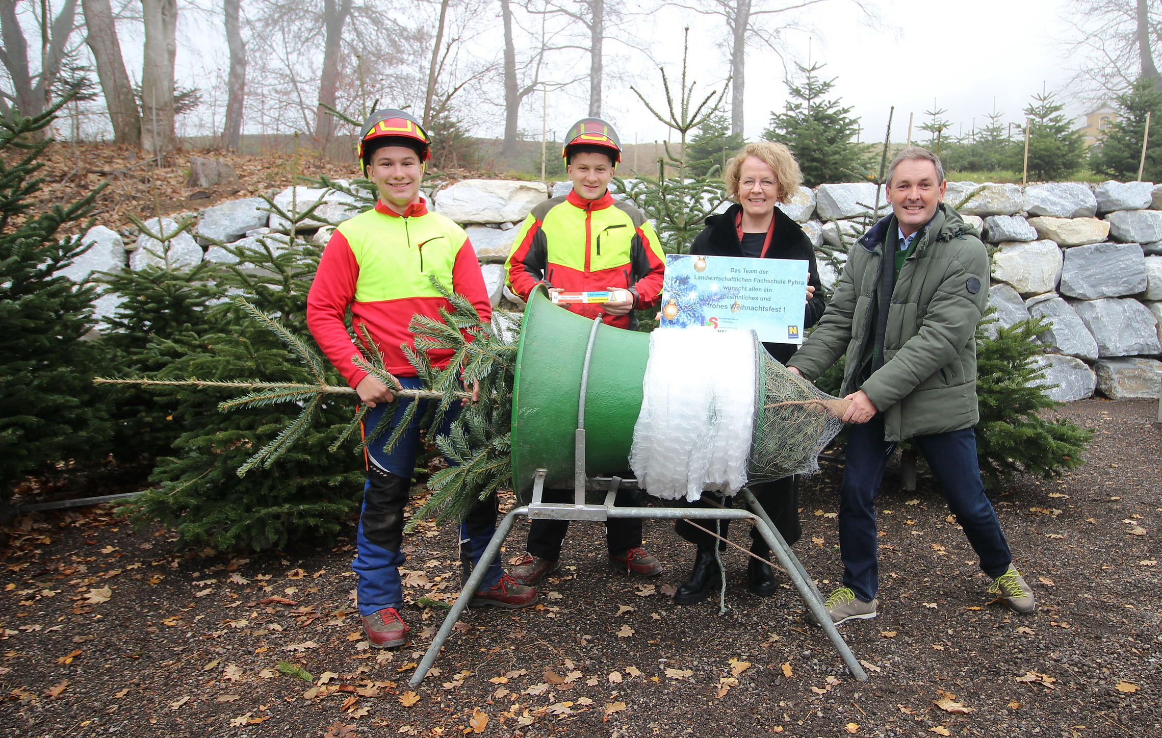 Pyhra Christbäume Copyright Postl