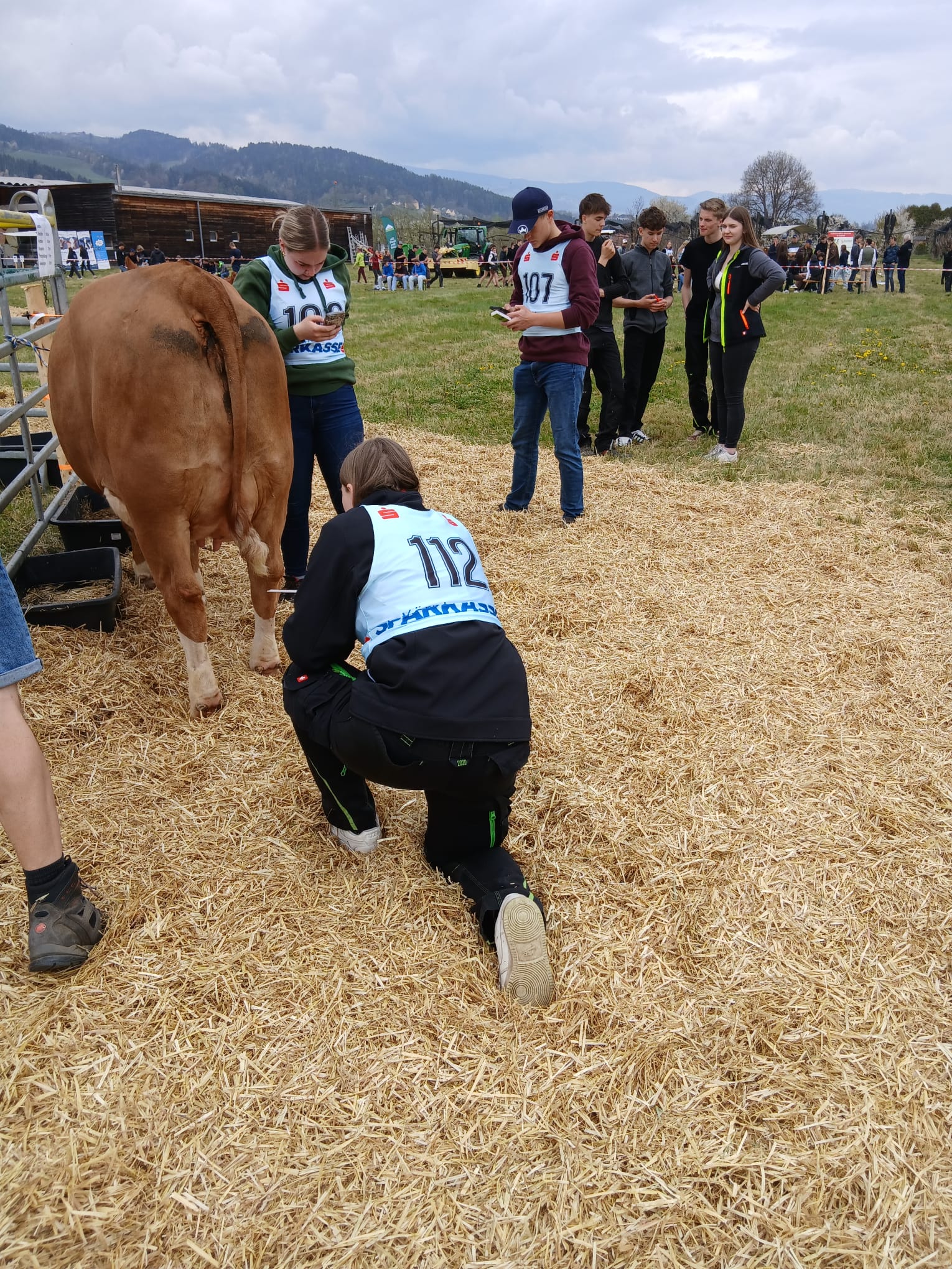 Tierbeurteilungsbewerb-LFS-NÖ-Schüler+Kuh.2