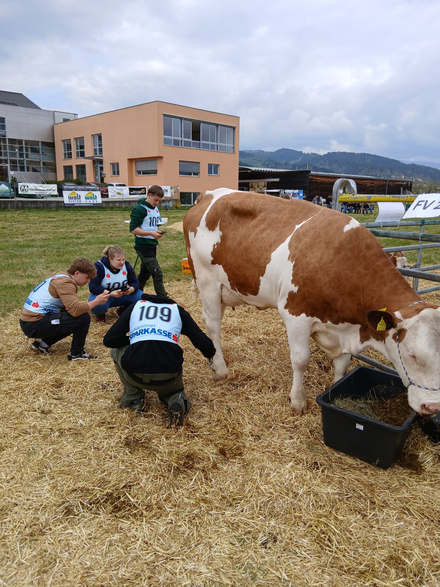 Tierbeurteilungsbewerb-LFS-NÖ-Schüler+Kuh
