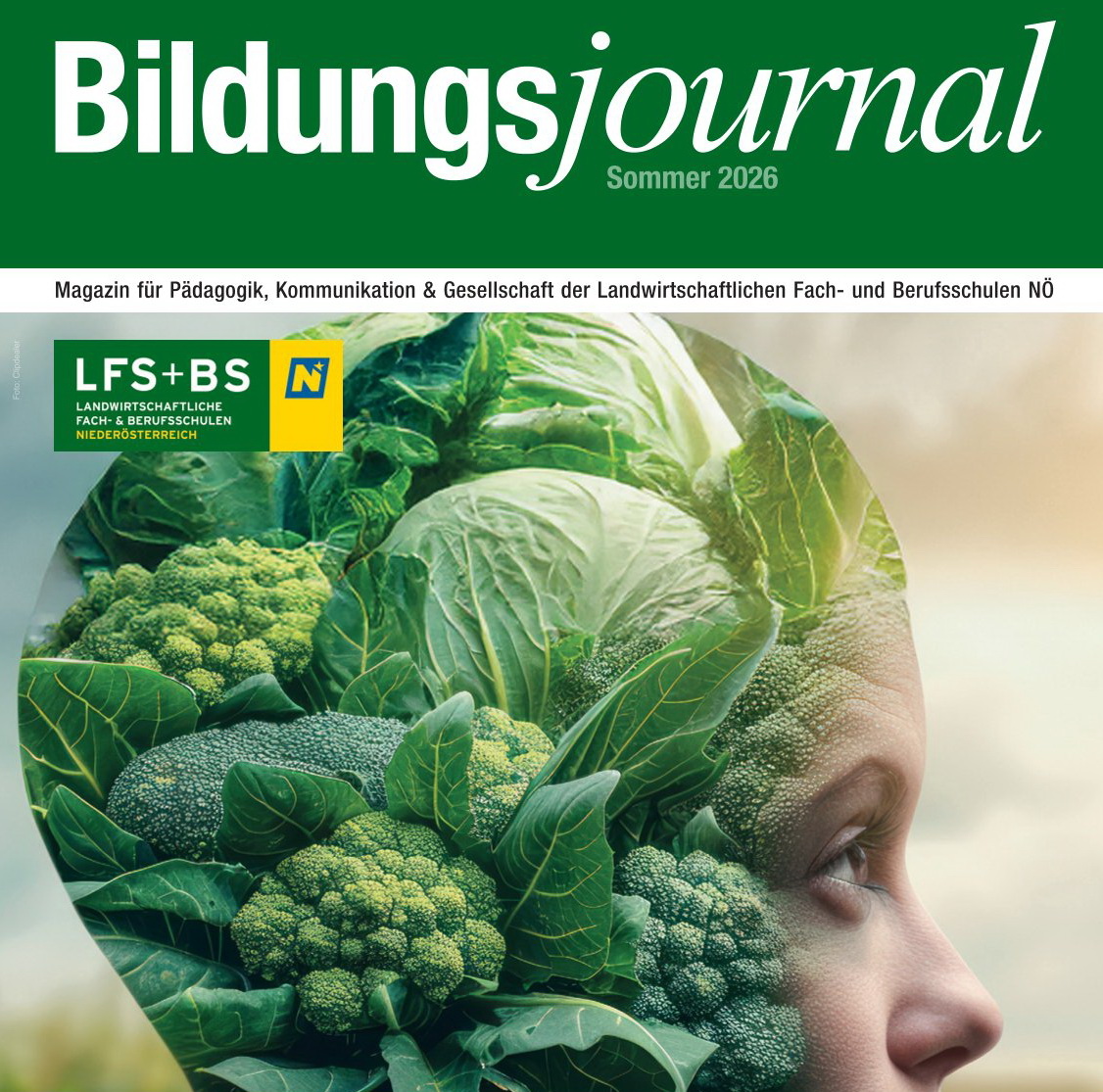 Die Sommerausgabe 2026 des Bildungsjournals ist erschienen